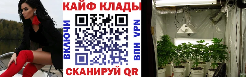 Где можно купить наркотики Белгород COCAIN Мефедрон ГАШ