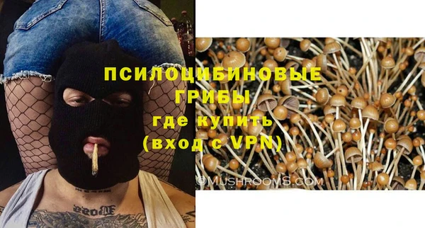 стафф Беломорск
